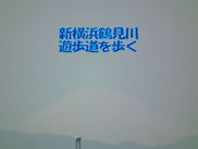 cut1