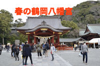 hachimansama
