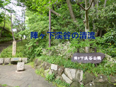 jingashita
