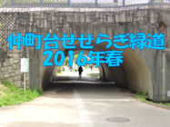 nakamachidai
