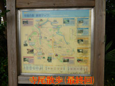 terao4