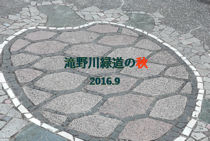 takinogawa