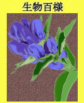94