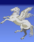 pegasaus