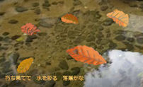 suisaiochiba