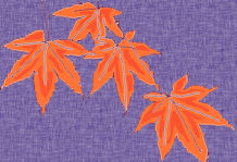 momiji