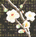 ｈａｋｕｂａｉ