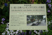minato-view1