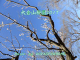 baien