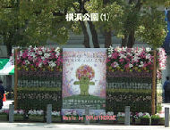 yokohamapark1