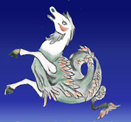 seahorse