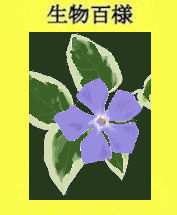 113p