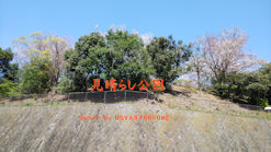 ｍｉｈａｒａｓｉ