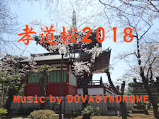 sakura2018