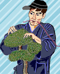 bonsai