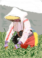 chatumi