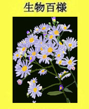 162p