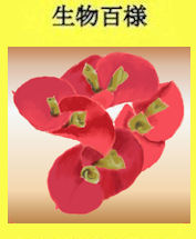 169p