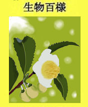 cha