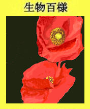 183p