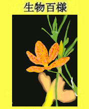 193p
