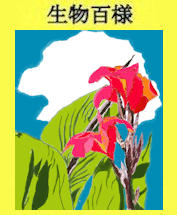 196p