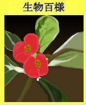 202hanakirin