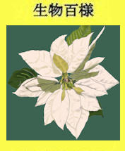 205p