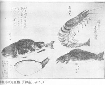23suzaki