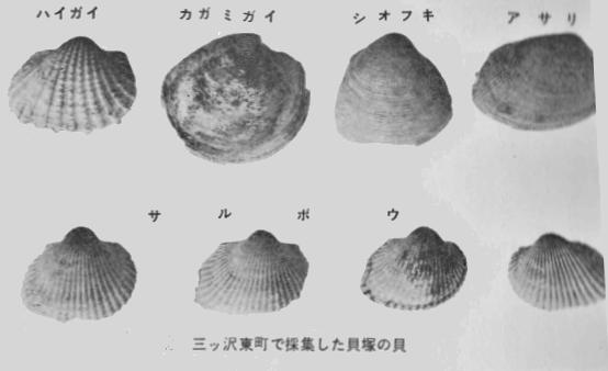 photo01