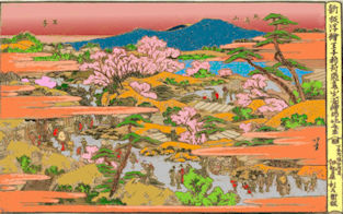 9ohjiinari