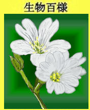212plant