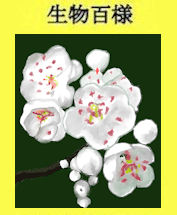 222sanzashi