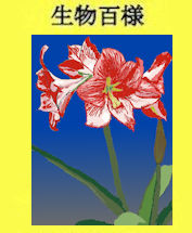 224plant