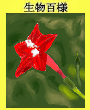 231p