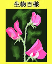 247sweetpea