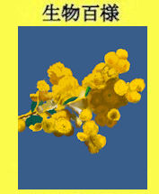255p