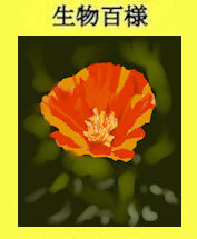 256p