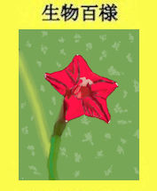 267p