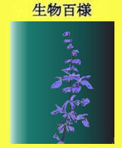 271p