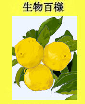 281ｙｕｚｕ