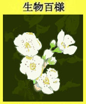 295ｐ