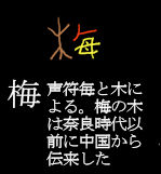 104ume