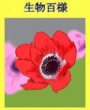 323p