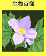 328p