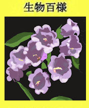 風鈴層